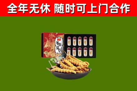 襄汾县回收冬虫夏草价格